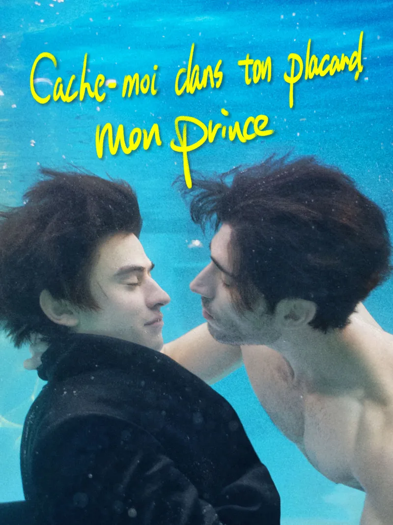 Couverture de Cache-moi dans ton placard, mon prince