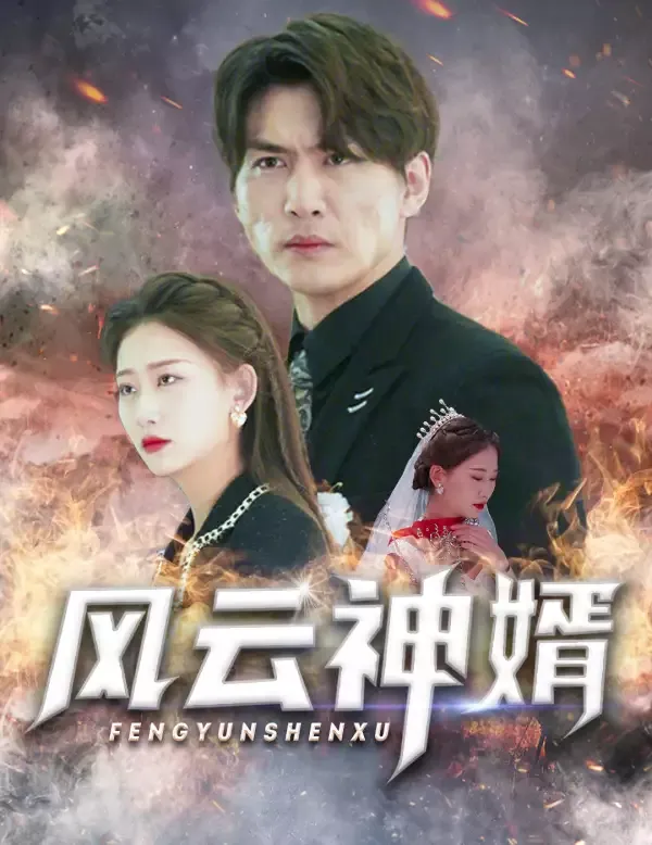 《風雲神婿》封面