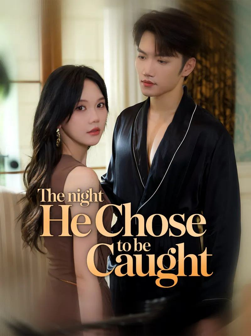 The Night He Chose to Be Caught cover