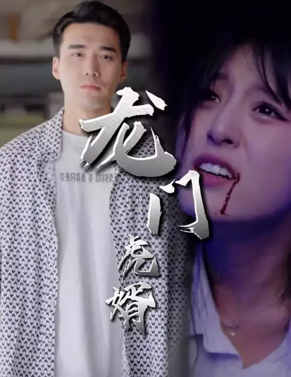 《龍門虎婿》封面