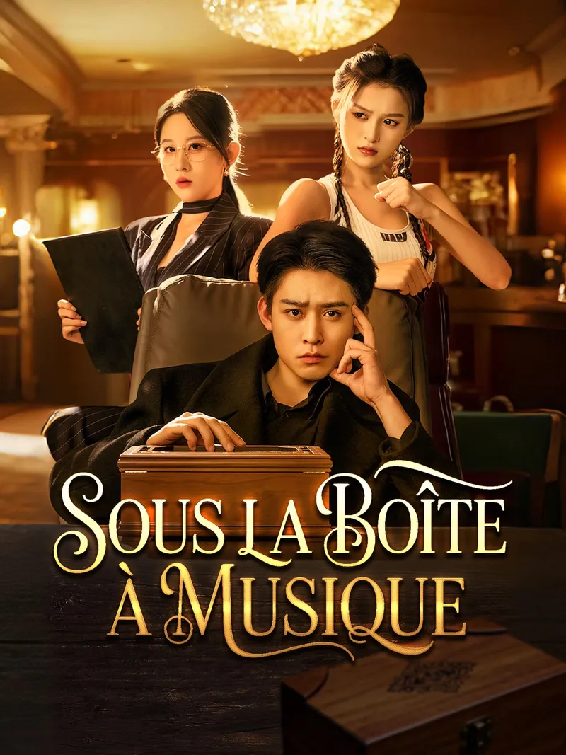 Couverture de Sous la boîte à musique
