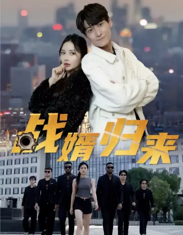 《戰婿歸來》封面