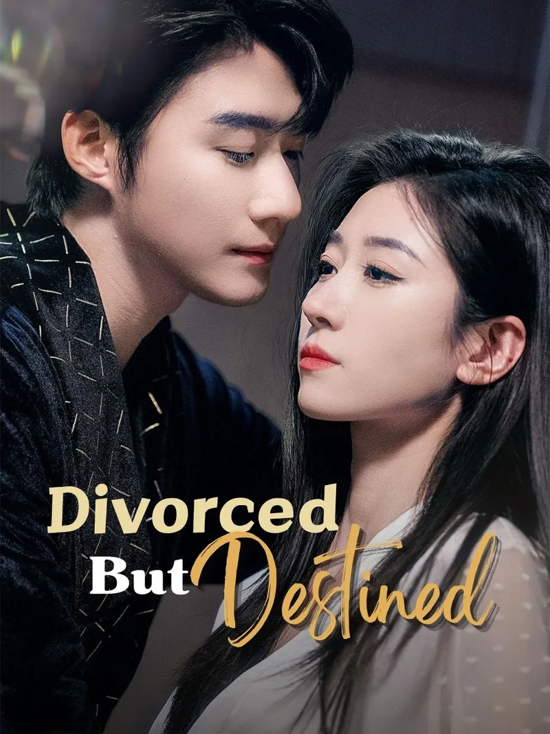 Divorced But Destined cover