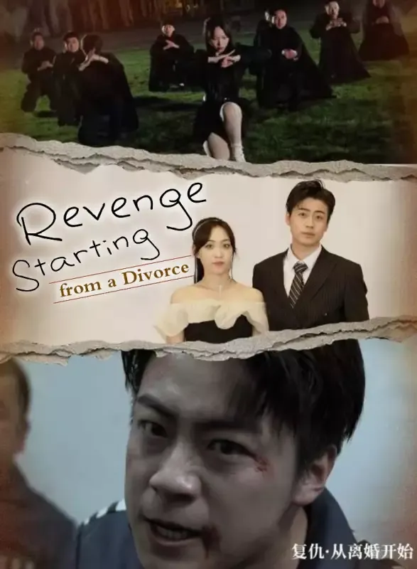 Revenge Starting from a Divorce cover