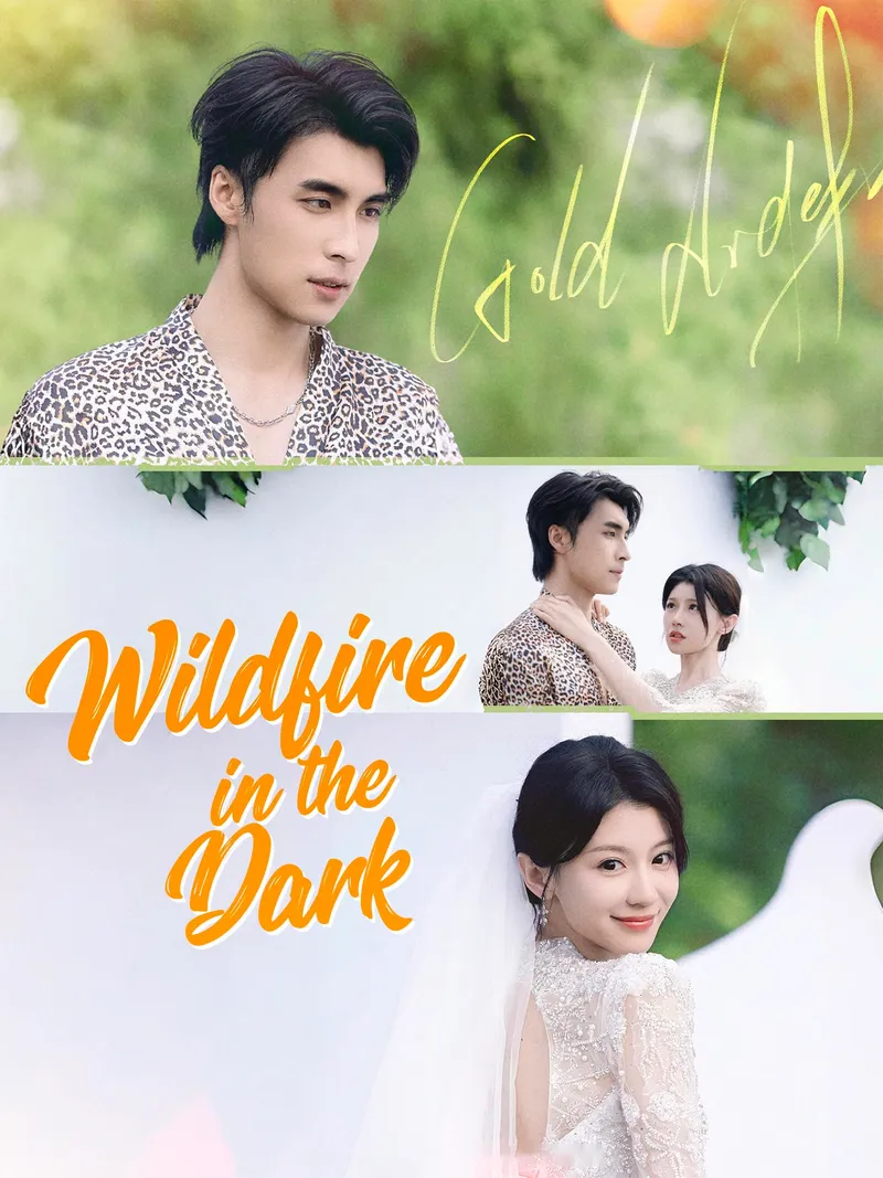 Wildfire in the Dark cover