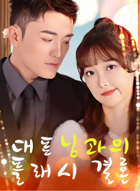 대표님과의 플래시 결혼 표지