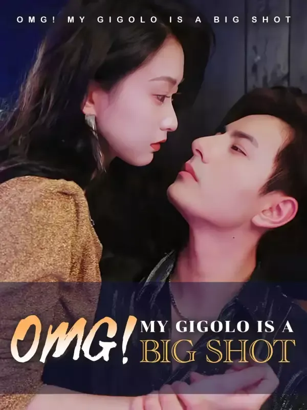 OMG! My Gigolo Is a Big Shot cover