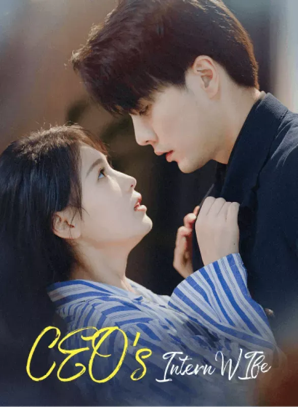 CEO's Intern Wife cover