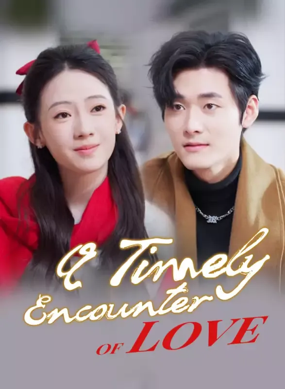 A Timely Encounter of Love cover
