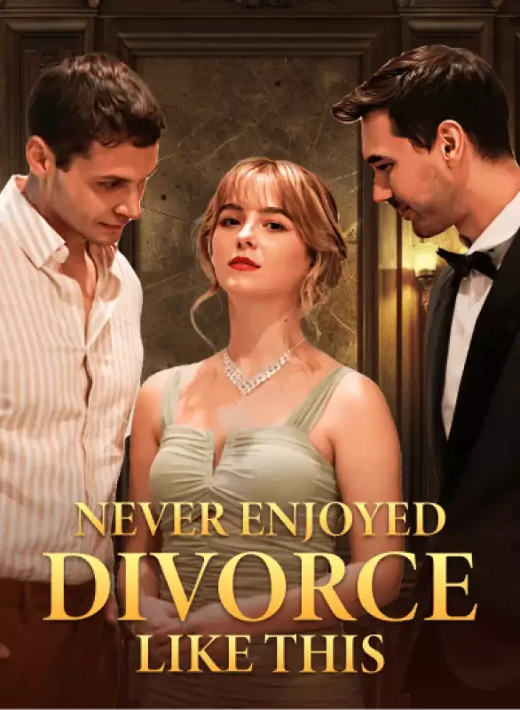 Never Enjoyed Divorce Like This cover