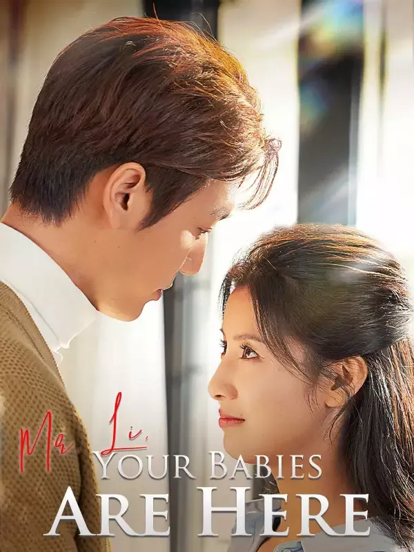 Mr. Li, Your Babies Are Here cover