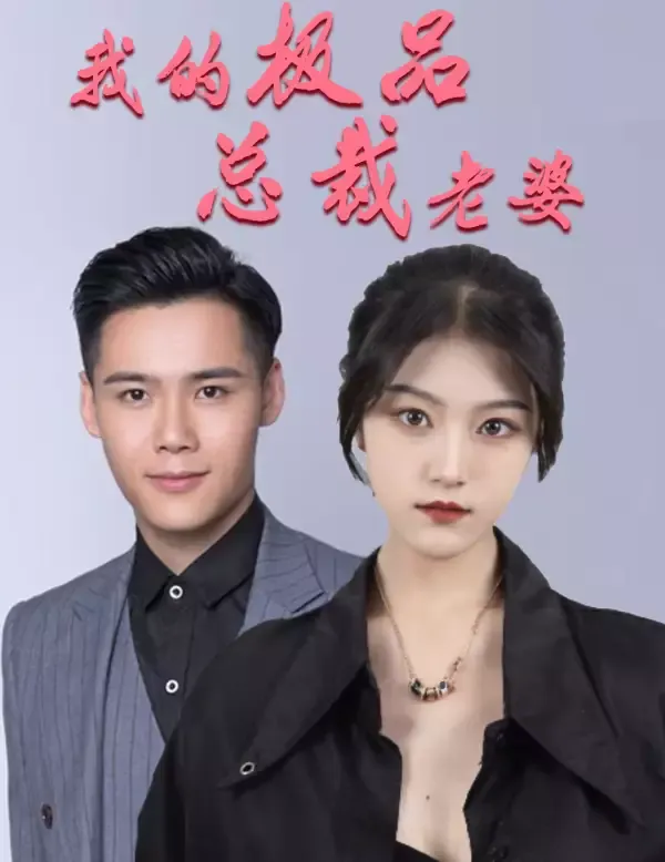 《我的極品總裁老婆》封面