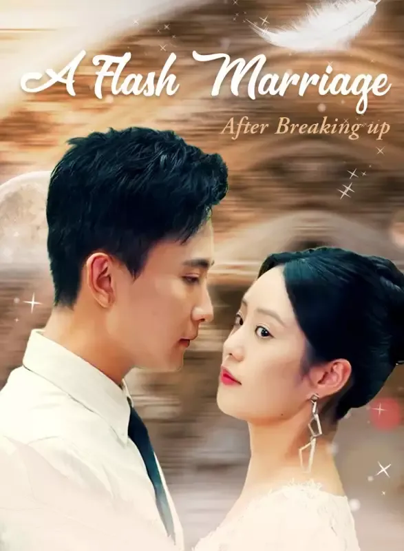 A Flash Marriage After Breaking up cover