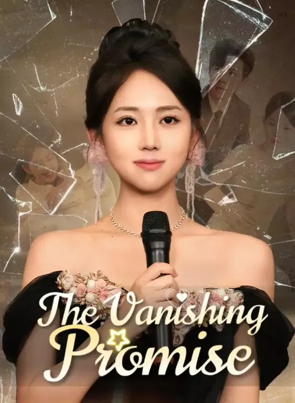 The Vanishing Promise cover