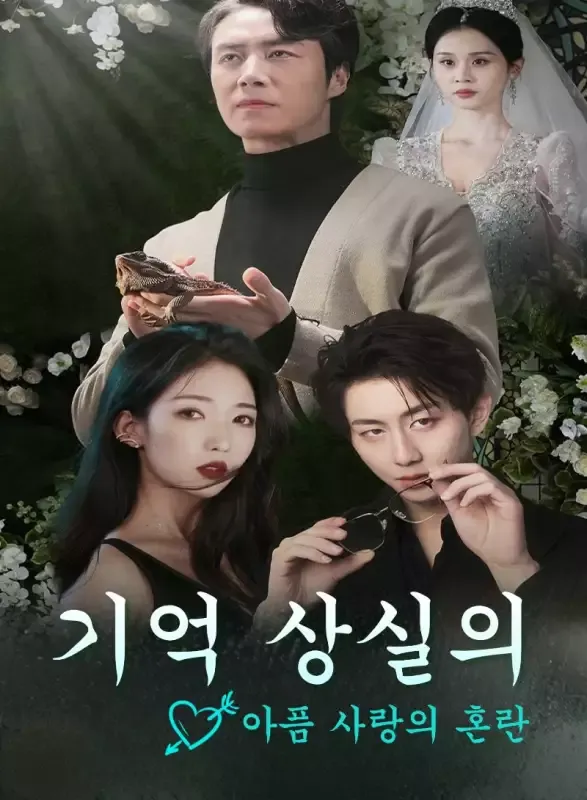 기억 상실의 아픔: 사랑의 혼란 표지