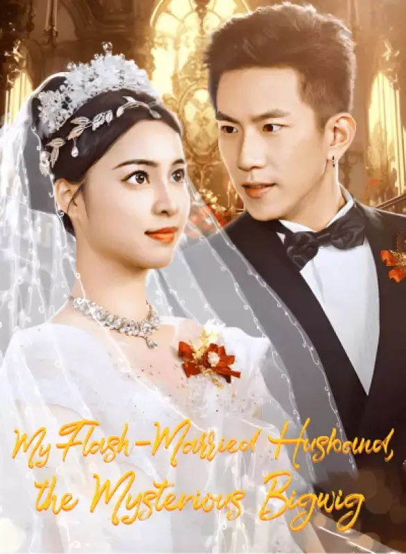 My Flash-Married Husband, the Mysterious Bigwig cover