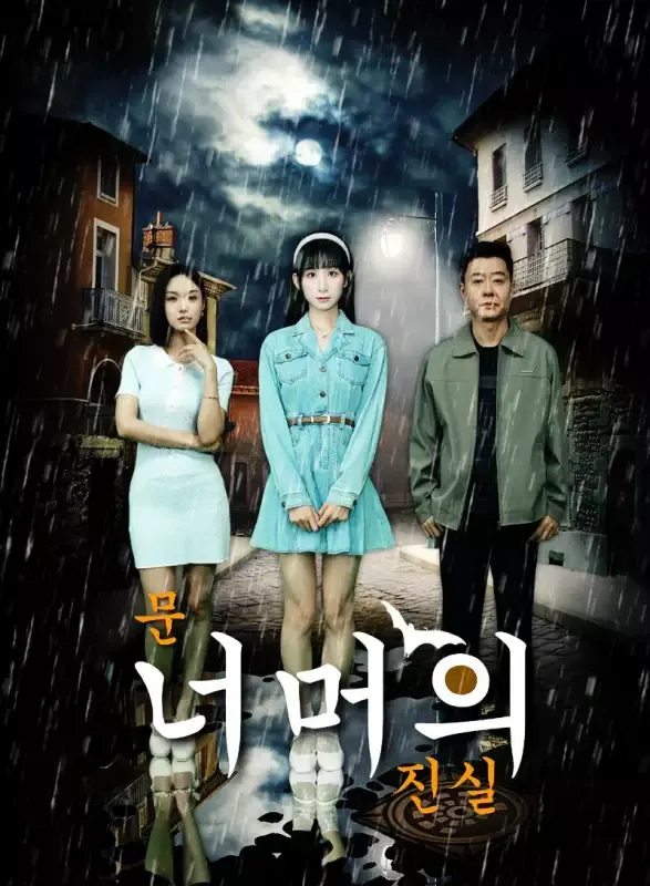 문 너머의 진실 표지