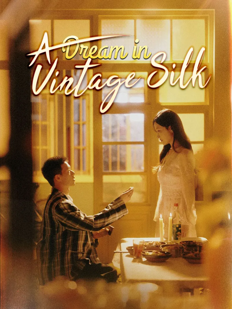 A Dream in Vintage Silk cover