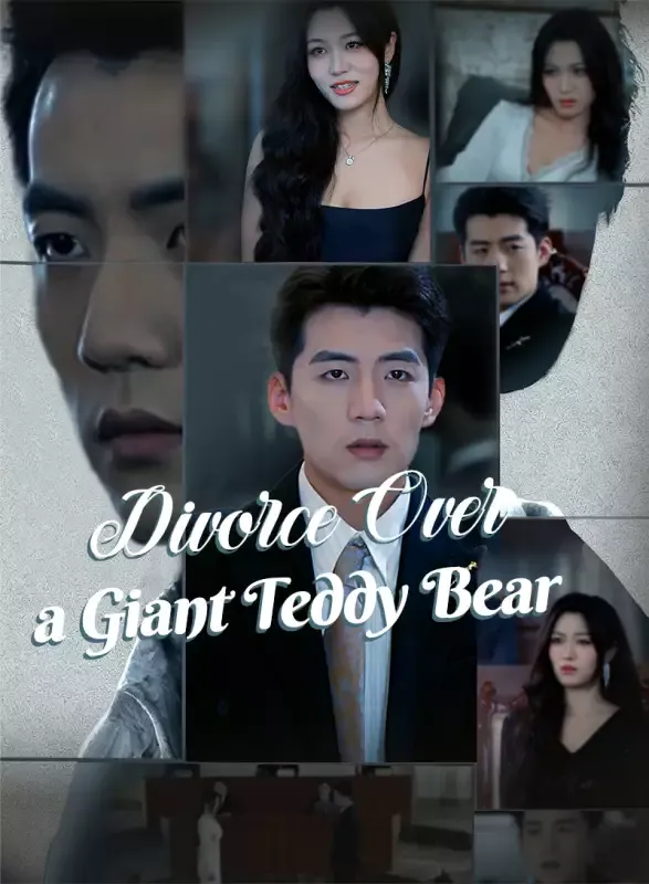 Divorce Over a Giant Teddy Bear cover