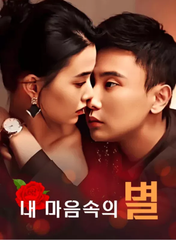 내 마음속의 별 표지