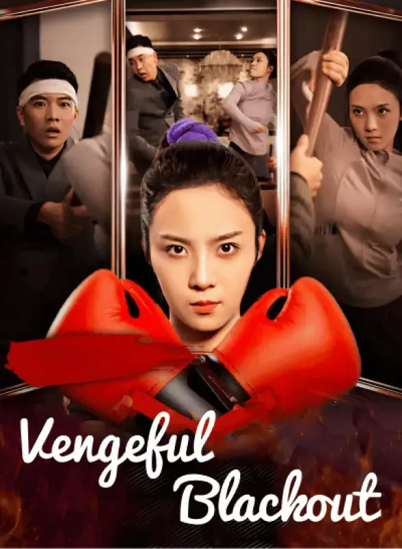 Vengeful Blackout cover