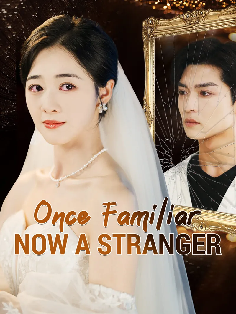 Once Familiar, Now a Stranger cover