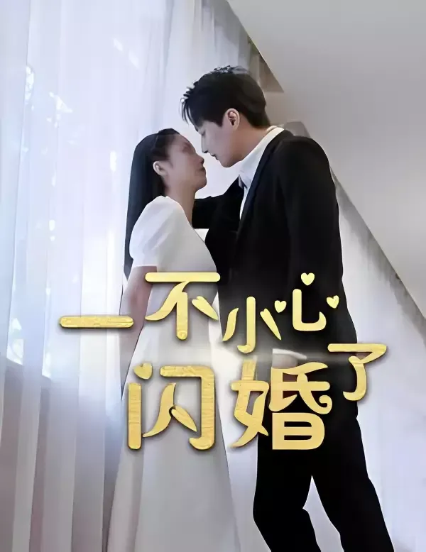 《一不小心閃婚了》封面