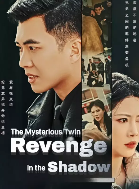 The Mysterious Twin: Revenge in the Shadow cover