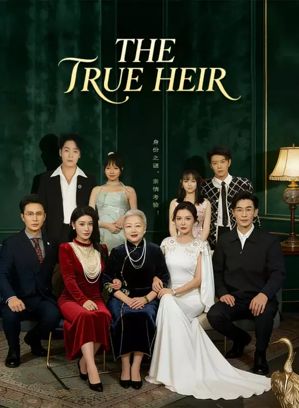The True Heir Returns cover