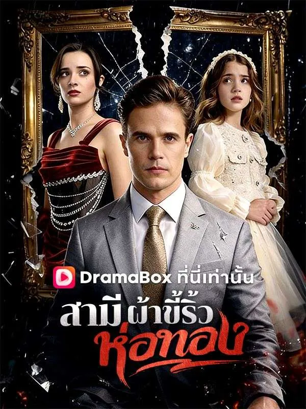 หน้าปกสามีผ้าขี้ริ้วห่อทอง(พากย์ไทย)