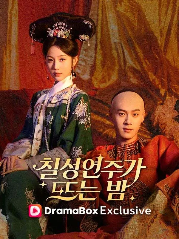 칠성연주가 뜨는 밤 표지
