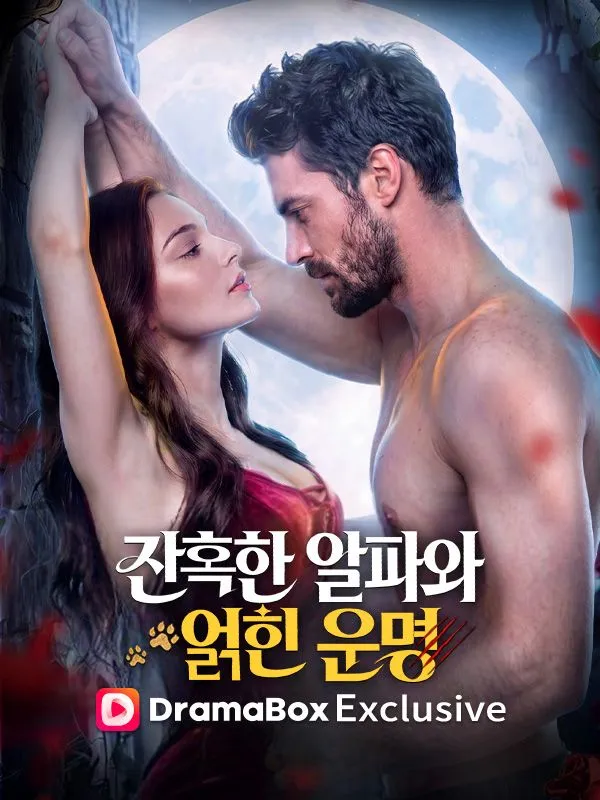 잔혹한 알파와 얽힌 운명 표지