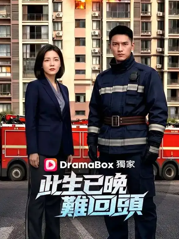 《此生已晚難回頭》封面