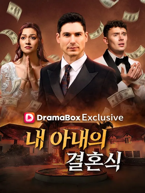 내 아내의 결혼식 표지