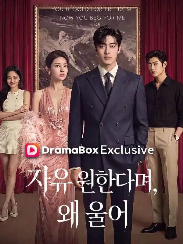 자유 원한다며, 왜 울어 표지