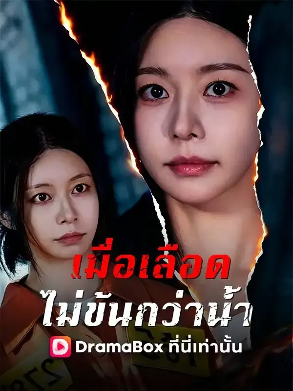 หน้าปกเมื่อเลือดไม่ข้นกว่าน้ำ