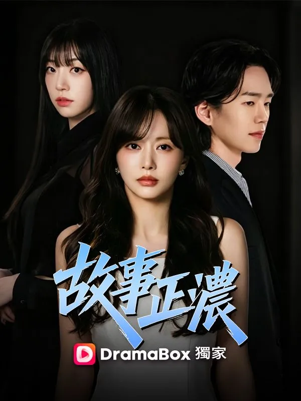 《故事正濃》封面