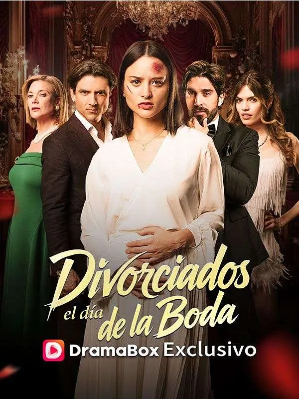 Portada de Divorciados el día de la boda
