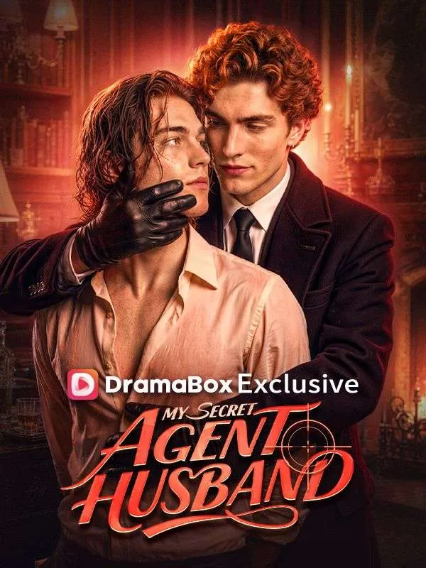 My Secret Agent Husband cover