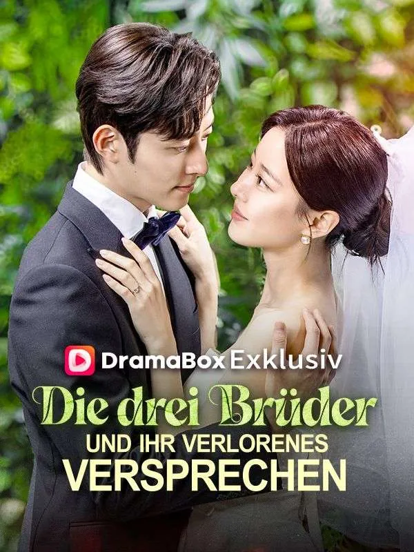 Cover von Die drei Brüder und ihr verlorenes Versprechen(Deutsch Synchronisiert)