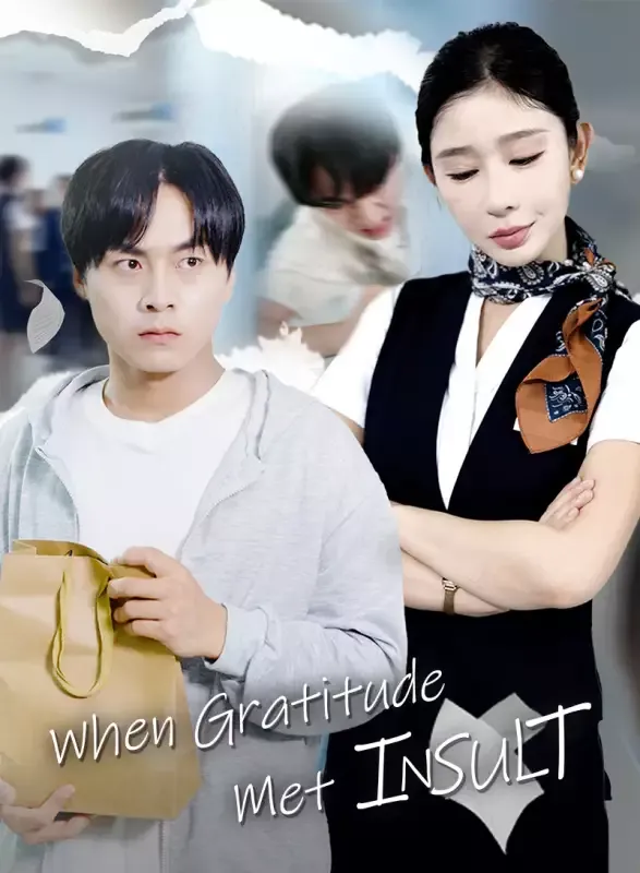 When Gratitude Met Insult cover