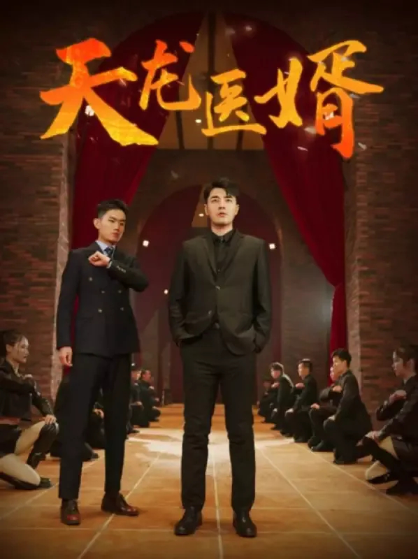 《天龍醫婿》封面