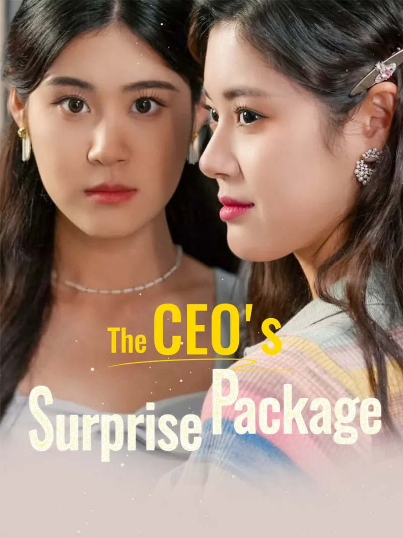The CEO's Surprise Package cover