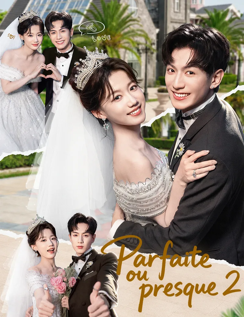 Couverture de Parfaite, ou presque  2