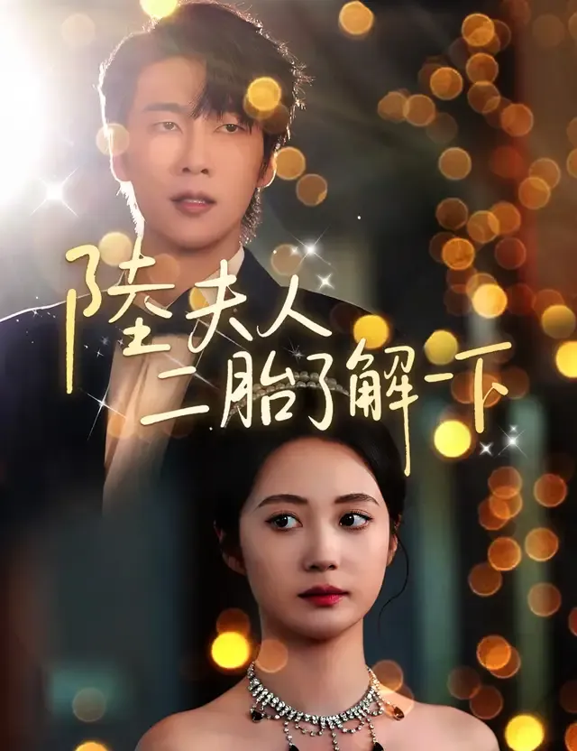 《陸夫人，二胎了解一下》封面