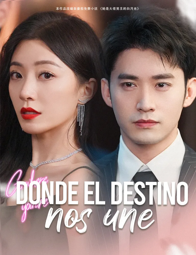 Portada de Donde el destino nos une