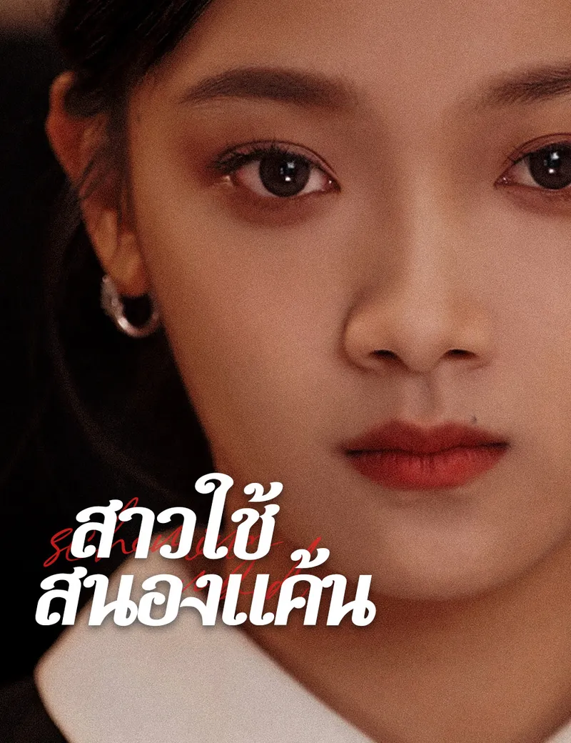 หน้าปกสาวใช้สนองแค้น