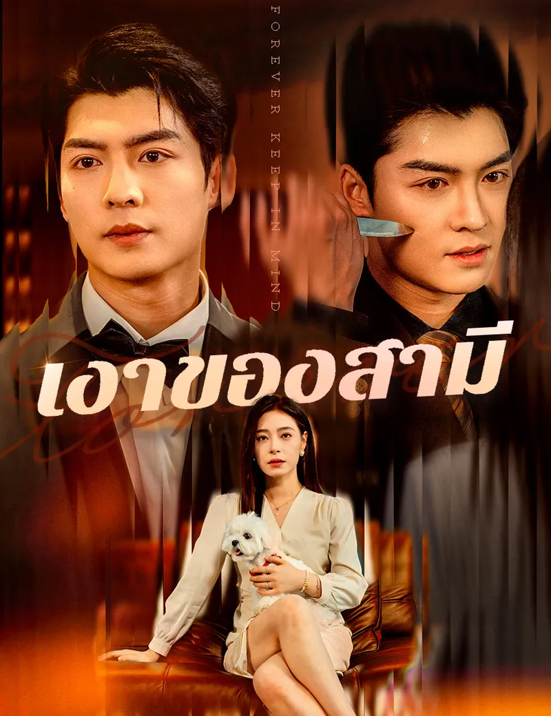 หน้าปกเงาของสามี