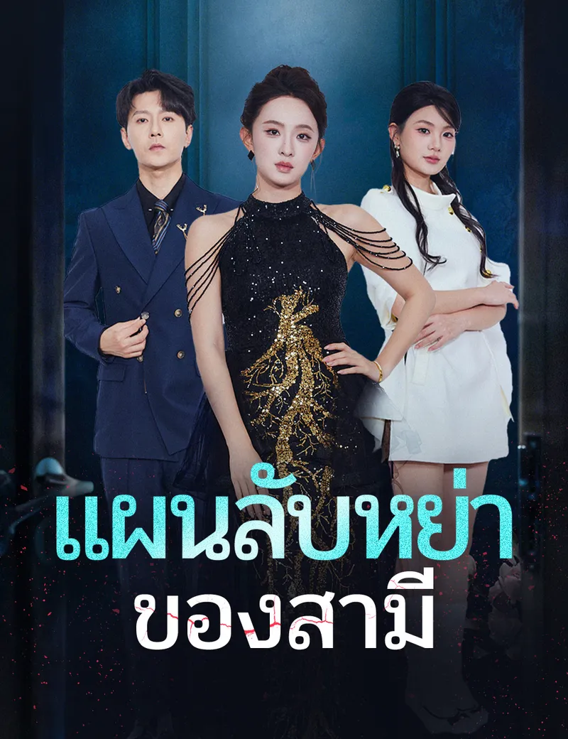 หน้าปกแผนลับหย่าของสามี