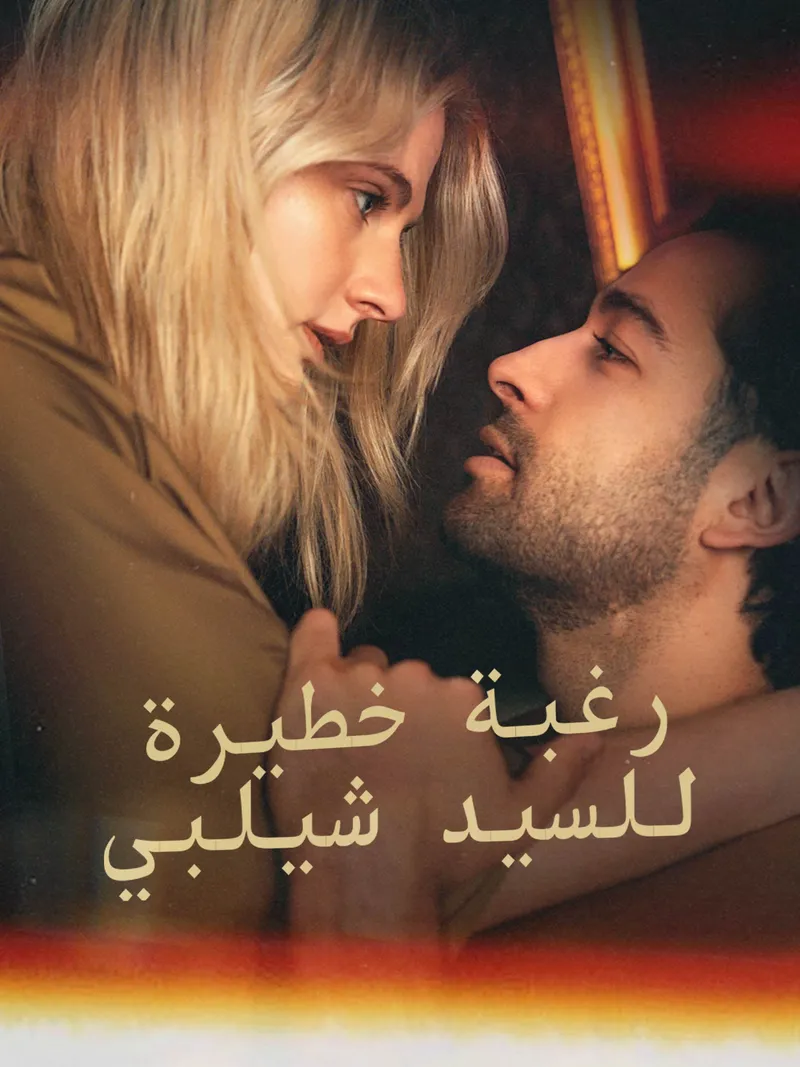 غلاف رغبة خطيرة للسيد شيلبي